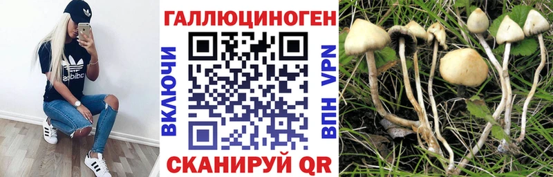 купить  цена  Верхняя Салда  Псилоцибиновые грибы Cubensis 